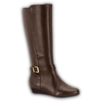 Botas